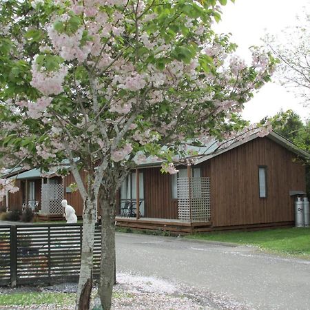 219 On Johns Motel & Holiday Park Christchurch Eksteriør billede